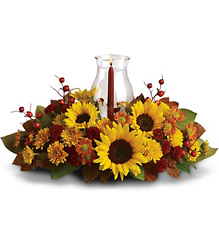 Sunflower Centerpiece from Gilmore's Flower Shop in East Providence, RI